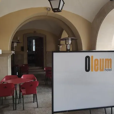 Oleum Hotel 2*