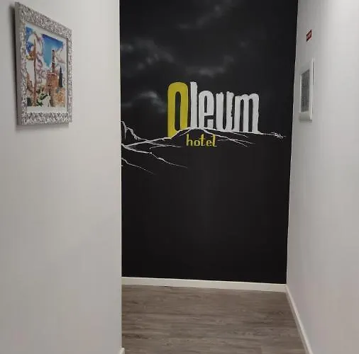 Oleum Hotel 2*