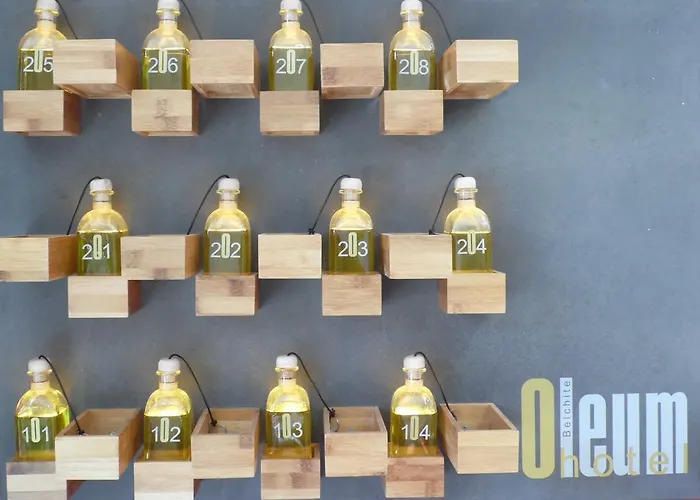 Hotel Oleum Belchite